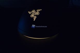 Razer Viper Mini LED 2